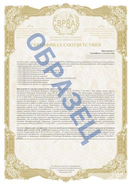 Образец Приложение к СТО 01.064.00220722.2-2020 Котовск Сертификат СТО 01.064.00220722.2-2020 